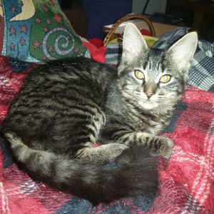 Meet your Posher, Patricia